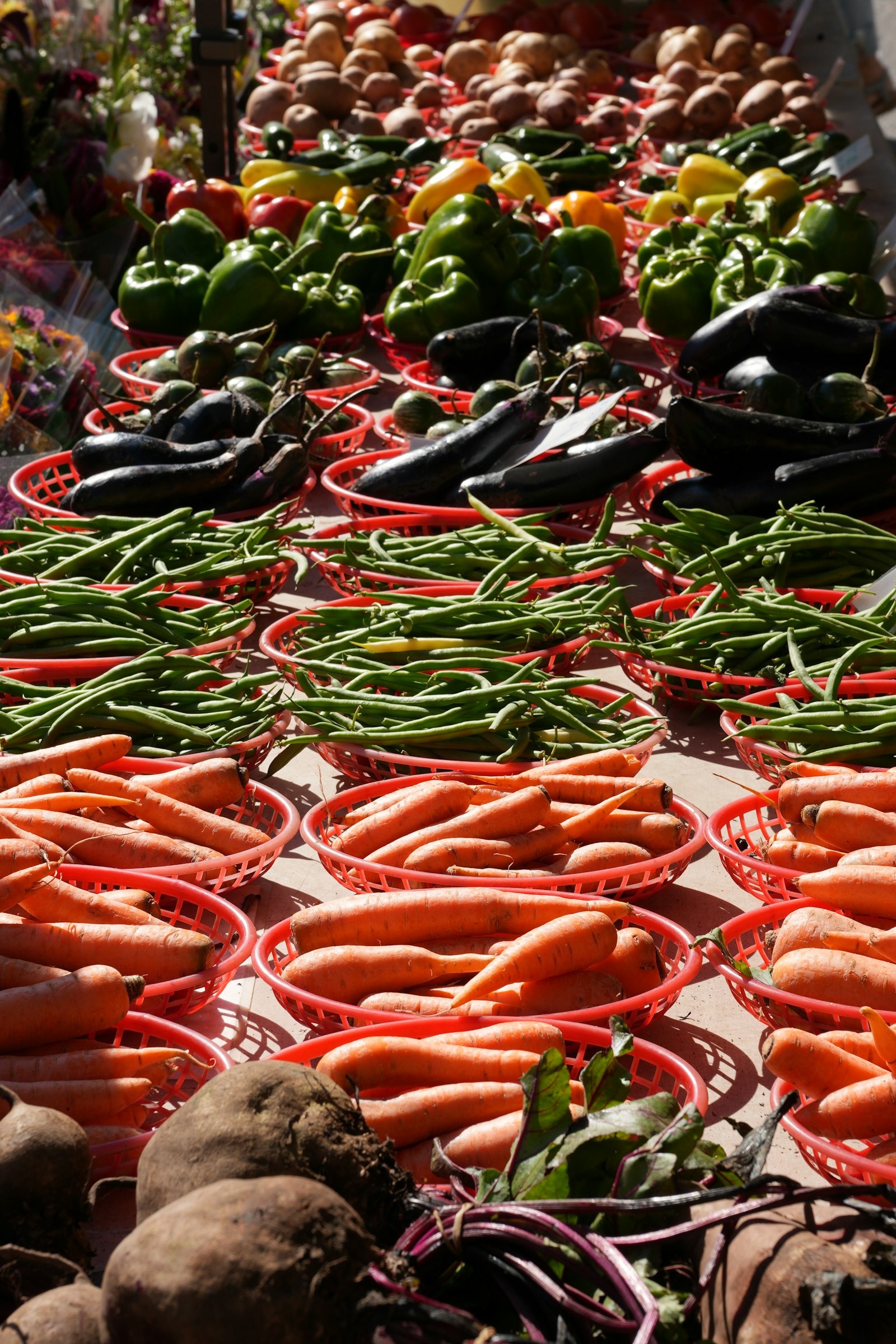 Fresh vegetables displayed at an outdoor market