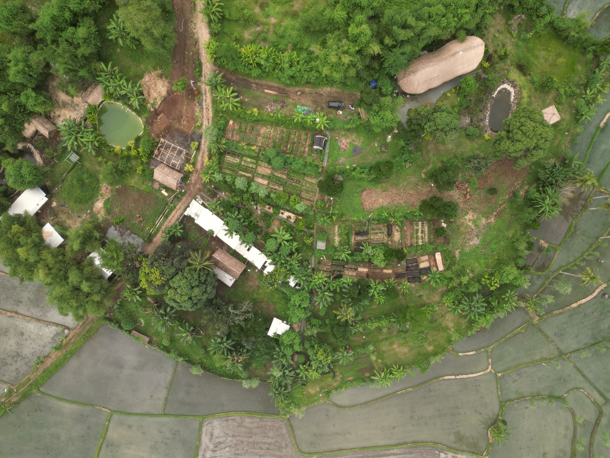 Aerial view of The Hill farm in Lombok, Indonesia, ringed by rice paddies